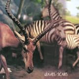 Leaves/Scars