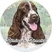 E&S Pets Springer Spaniel Coaster, 3