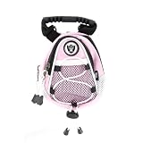 Oakland Raiders Mini Day Pack, Pink