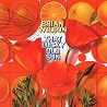 Bild des Albums von Brian Wilson