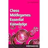 chess middlegames essential knowledge