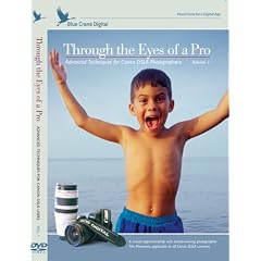 Through the Eyes of a Pro: Advanced Techniques for Canon DSLR Photographers, Volume 1