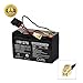 AlveyTech 12 Volt Battery Pack for The Razor E90 (7 Ah, with Harness)