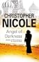 Angel of Darkness (Anna Fehrbach Thrillers)