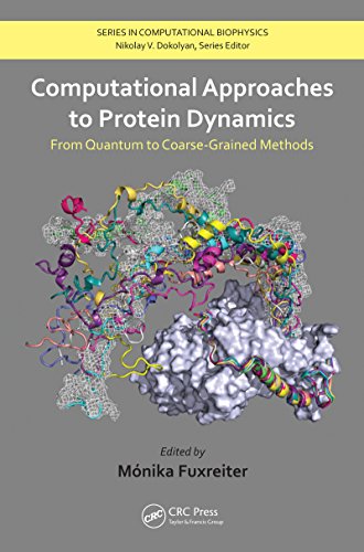 Computational Approaches to Protein Dynamics: From Quantum to Coarse-Grained Methods (Series in Computational Biophysics)