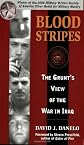 Blood Stripes: The Grunt's View of the War in Iraq