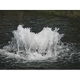Scott Pond Aerator - 1/2 HP, 230V, 70-Ft. Cord, Model Boilermaker