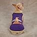 Witch in Training Dog Tee Size: Small (12