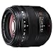Panasonic L-X025 Full 4/3 DSLR Panasonic 25mm Lens for select Lumix SLR Digital Cameras
