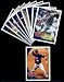 2010 Topps Baseball Cards Minnesota Twins Complete Team Set - 24 Cards including Joe Mauer, Hardy, Young, Punto, Cuddyer, Cabrera, Nathan, Baker, & more!