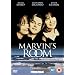 Marvin's Room [DVD]