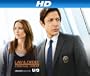 Law & Order: Criminal Intent Season 9 [HD]