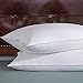 Set of 2, White Goose Feather and Down Pillows, Triple Chamber, 300 Thread Count , Standard Size