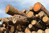 Wallmonkeys Peel and Stick Wall Decals - Pine Logs - 24