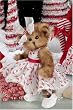 Peppermint Swirl 10" Christmas Dressed Stuffed Teddy Bear by Bearington