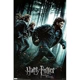(22x34) Harry Potter and the Deathly Hallows Part I Movie One Sheet Group Poster Print
