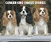 Cavalier King Charles Spaniels 2010 Calendar