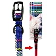 Blue Tartan Dog Collar