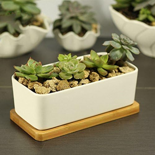 Netral Ceramic White Sucuulent Plant Pot/Cactus Plant Pot With Bamboo Tray (N003-6.5inch)