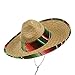 Jacobson Hat Company Men's Sombrero with Serape Band, Multicolor, Child