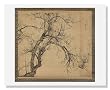 Yamamoto Baiitsu, Blossoming Plum Tree