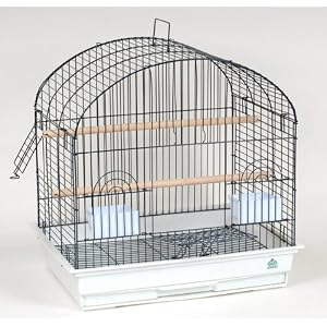 Blue Ribbon Arch Roof Heavy Wire Bird Cage, 24-Inch by 18-Inch by 24-Inch, Ocean Blue/Granite