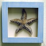 Blue Shadow Box Starfish Wall Art Home Decor
