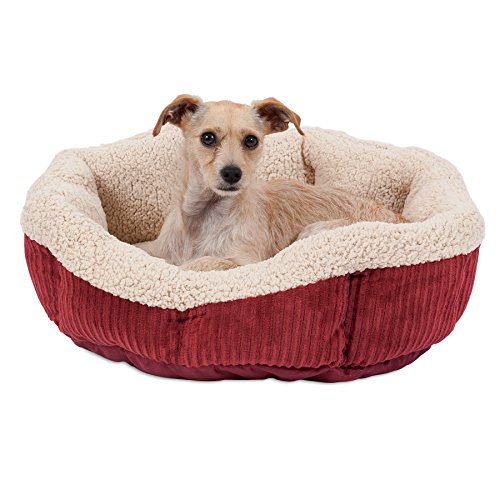 Aspen Pet 80135 SelfWarming Cat Bed Crown Majestic Petcare