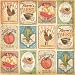 PPR 12x12 25PK FARMERS MARKET