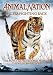 Animal Nation - Tigers Fighting Back [DVD]
