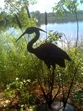Heron in Cattails