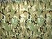 Kotap TCM-1216 Camouflage, Waterproof All-Purpose Multi-Use 7-mil Poly Tarp, Cut Size: 12 x 16'/Finished Size: 11' 4