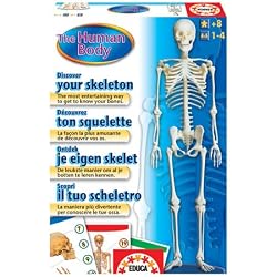 Human Body Skeleton Activity