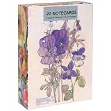 Museums & Galleries Mackintosh Boxed Note (Pack of 2)