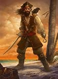 The Pirate s Pocket Book