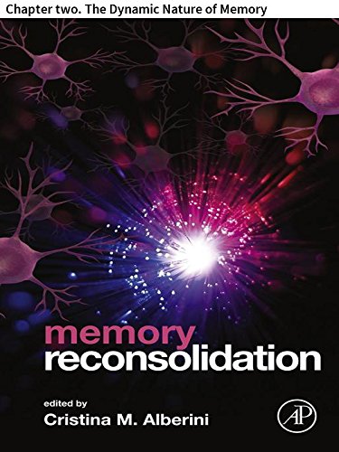 Memory Reconsolidation: Chapter two. The Dynamic Nature of Memory