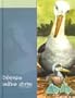 Galapagos Bedtime Stories