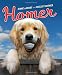Homer