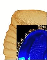 Solar Powered Color Changing Seashell Spotlight