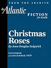 Christmas Roses