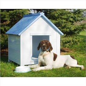 NewAgePet Medium All Weather Insulated Dog House -Bunk House with Small Door, White/Blue, Medium, for Pets up to 60 Pounds