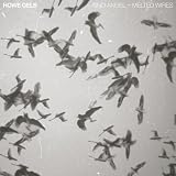 'Sno Angel & Melted Wires Split 7''