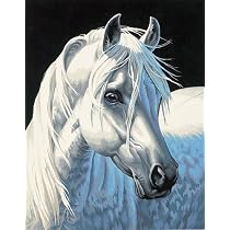 Paint by Number White Stallion
