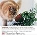 365 Cats 2014 Page-A-Day Calendar