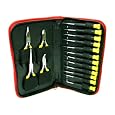 Trademark Tools 75-5216 16-Piece Precision Jewelers Tool Set with Case