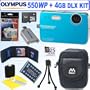 Olympus Stylus 550WP 10MP Waterproof Digital Camera (Blue) + 4GB Deluxe Accessory Kit