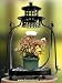 Beginner's Indoor Bonsai Kit - Light up Your Room with This Tabletop Lantern Bonsai Terrarium & the Bonsai of Love