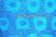 Cover Up-Water Splash Blue