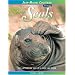 A Colony of Seals: The Captivating Life of a Deep Sea Diver (Jean-Michel Cousteau Presents)