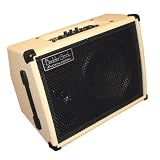 Boulder Creek Guitars A50D 50-Watt 1x10 Acoustic Guitar Amplifier